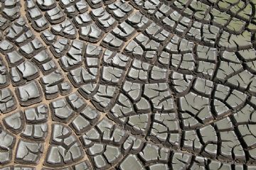 Danni da avversita&#39; atmosferiche e calamita&#39; naturali all&#39;agricoltura 